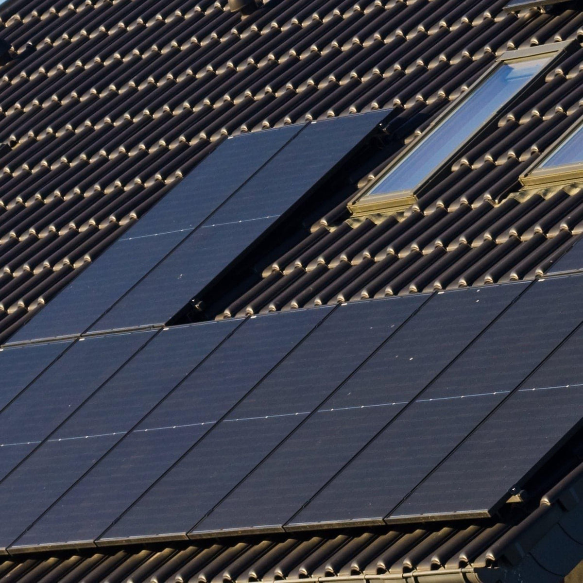 Panel solar monocristalino de 440 vatios (paquete de 4)
