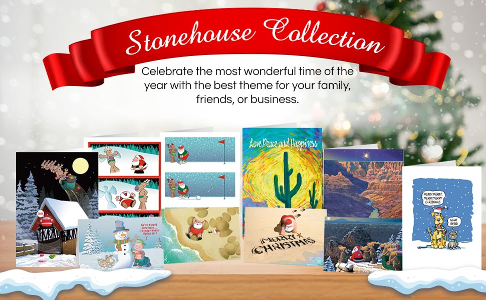 Colección Stonehouse, paquete de 2 tarjetas de felicitación divertidas de Acción de Gracias, diseño de pavo, surtidas