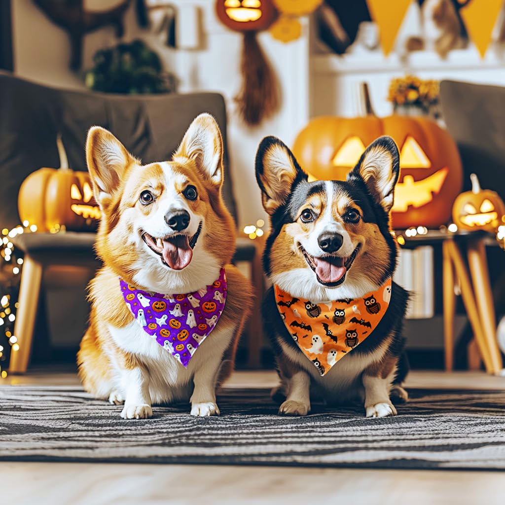 Bandana para perro Raisingwell Halloween N.Helloween, 1 paquete, talla grande