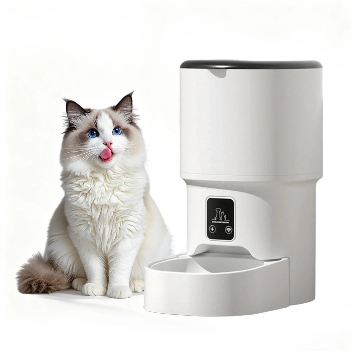 Comedero automático para gatos de 4 litros con temporizador, control de porciones de 1 a 6 comidas al día, control de botón para gatos y perros pequeños