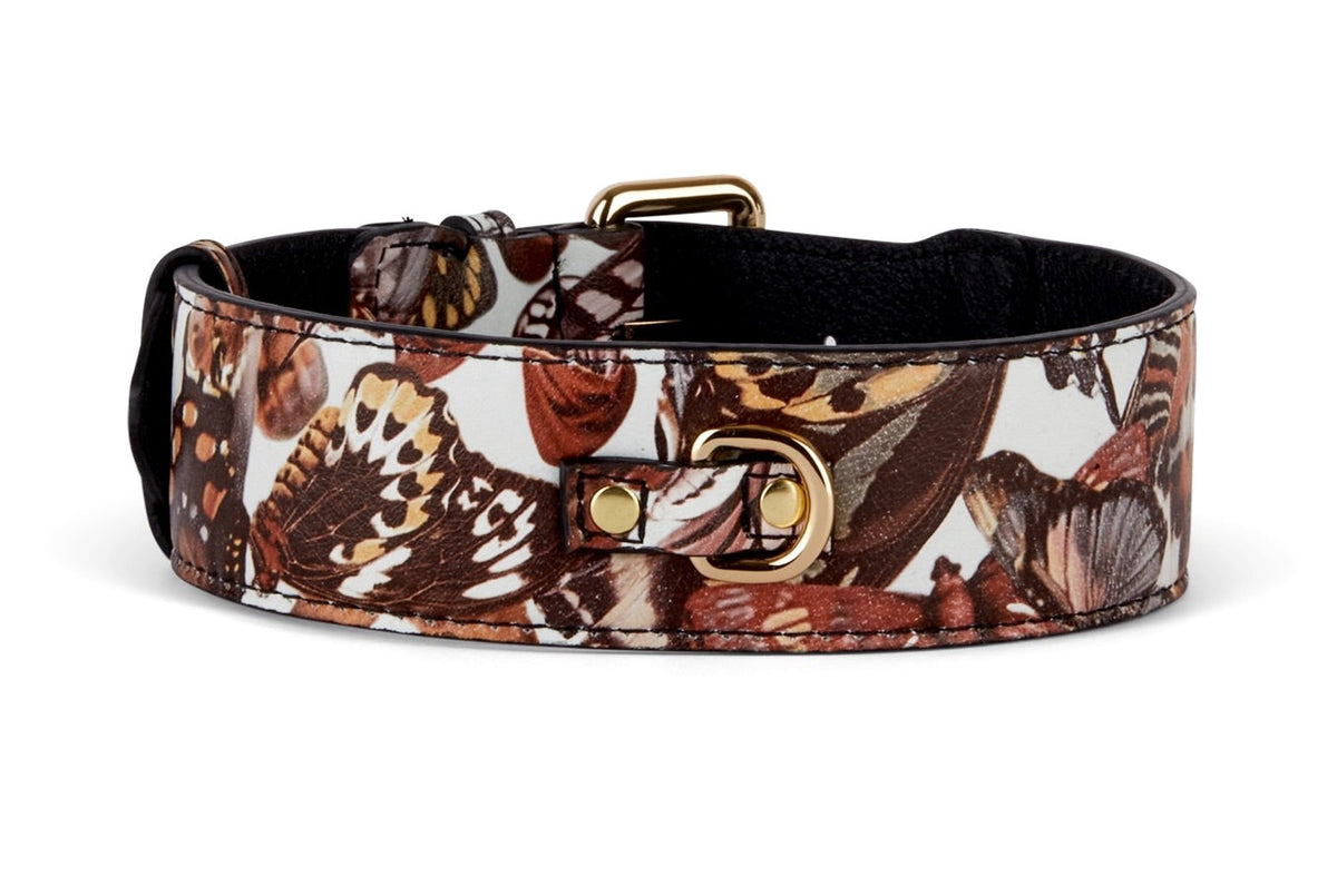 Butterfly Print Italian Leather Classic Collar