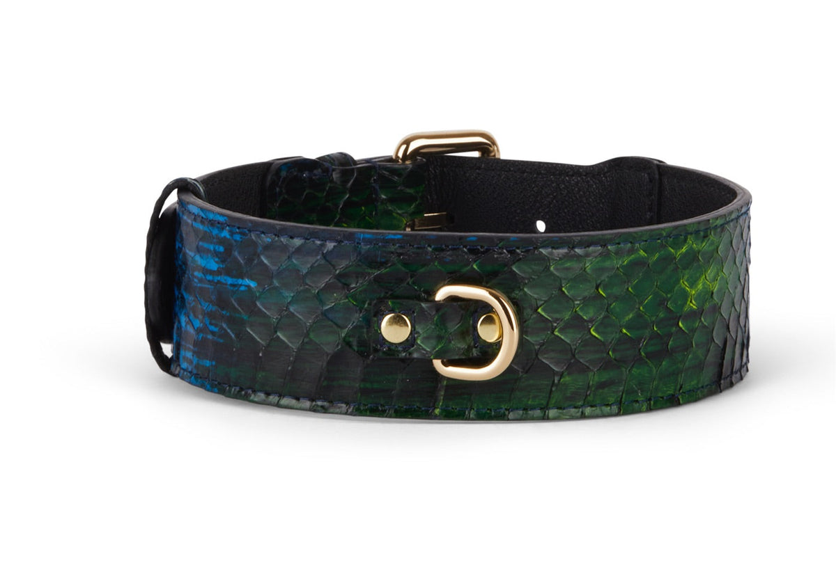 Blue, Green, Black, Yellow Snake Classic Collar