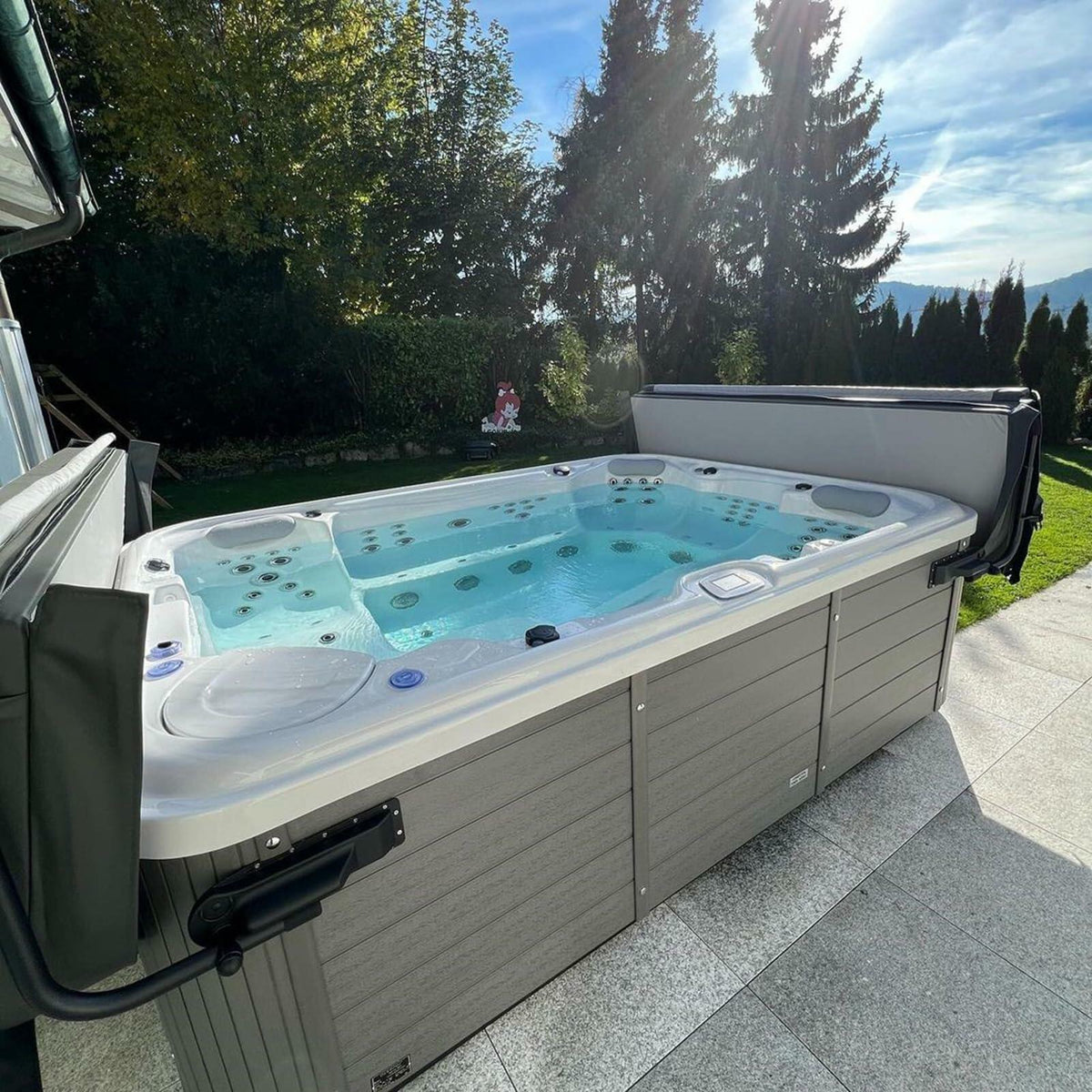 Cartucho de minerales iónicos para spa Hot Spring, suministro para un año (paquete de 2)