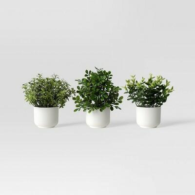 Planta artificial de hierbas Room Essentials en maceta blanca, color blanco