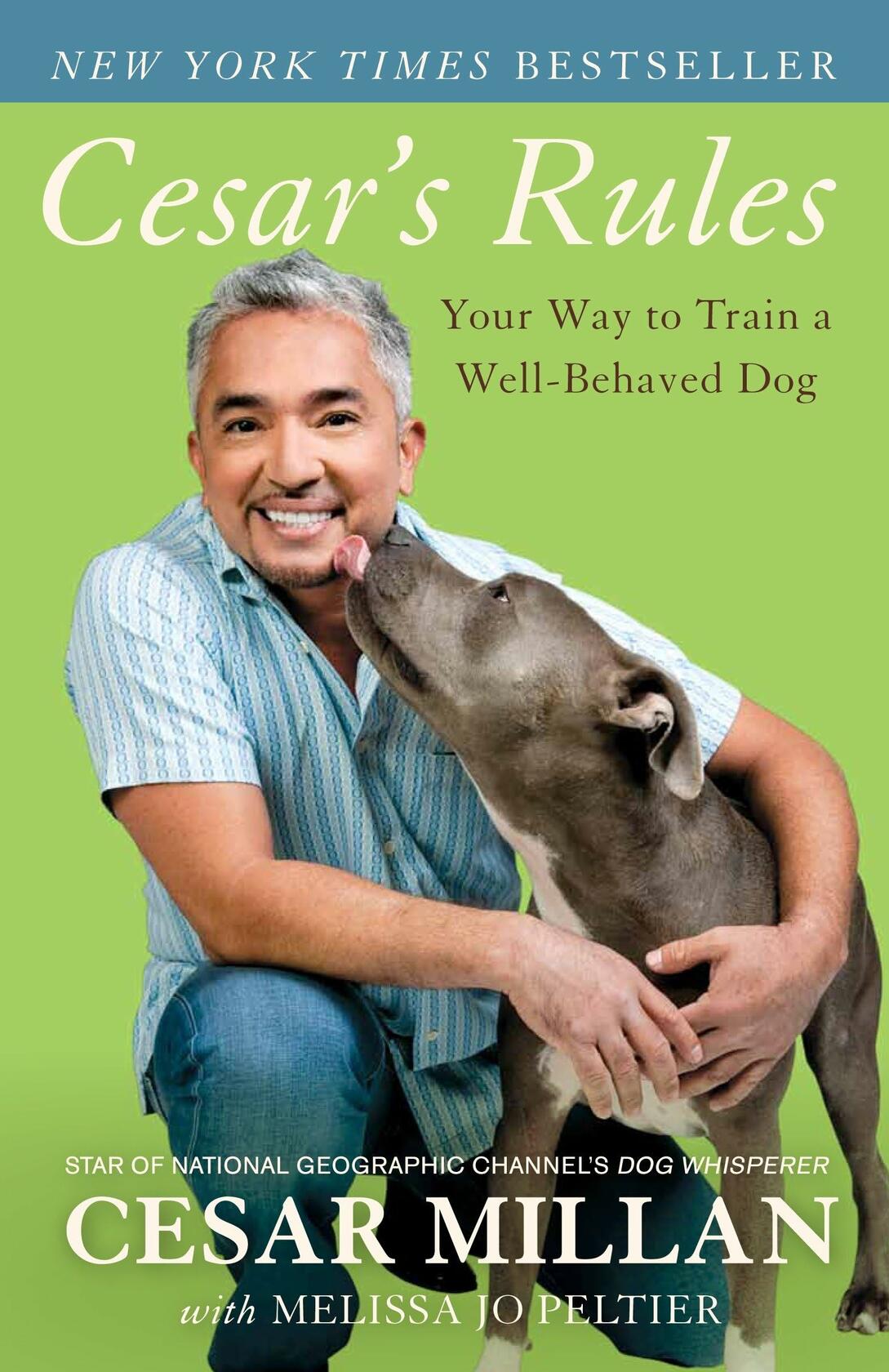 Reglas de César: Tu manera de entrenar a un perro bien educado CAJA ABIERTA