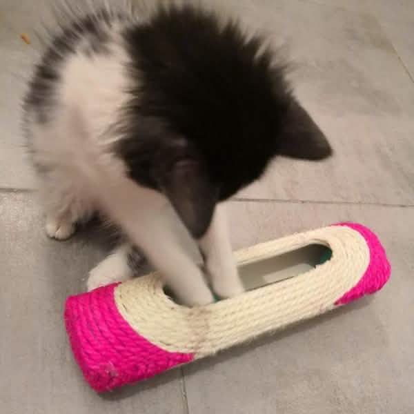 Rascador para Gatos de Sisal Rodante Atrapado con 3 Pelotas Novedoso Juguete de Entrenamiento