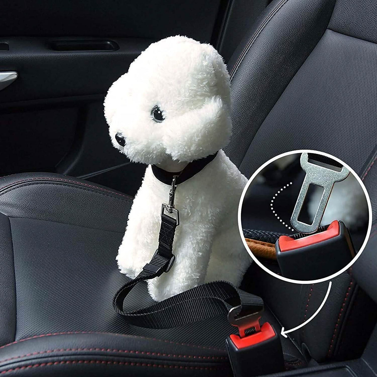 Cinturón de seguridad para mascotas