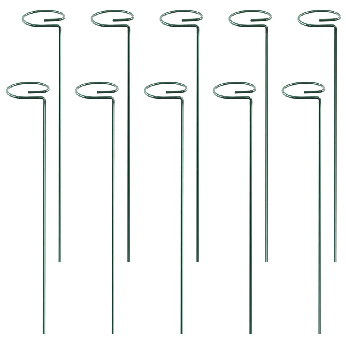 Garden Plant Support Stakes for Single Stem