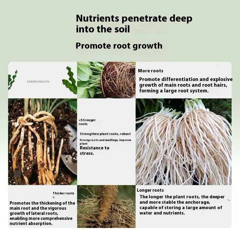 Strong Rooting And Seedling Strengthening Agent Potted Seedlings Vegetables Rooting Powder