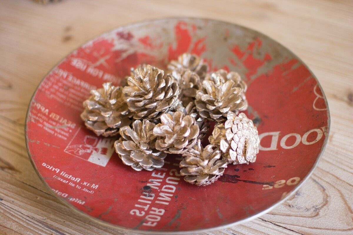 Kalalou Bag of Pine Cones, Fall and Christmas Home Decor