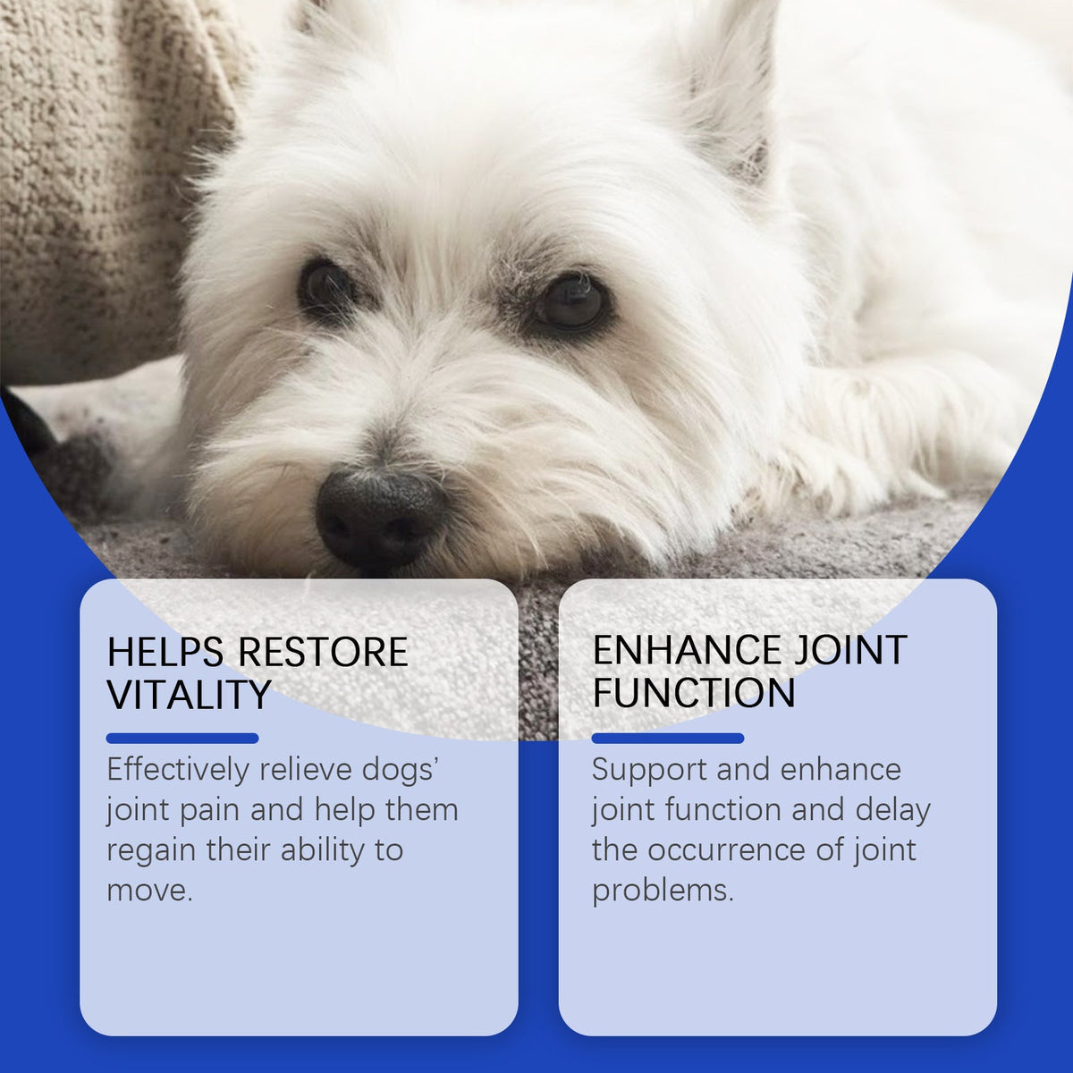 Pet Dog Joint Supplements Improve Nutrition And Care Joint Health