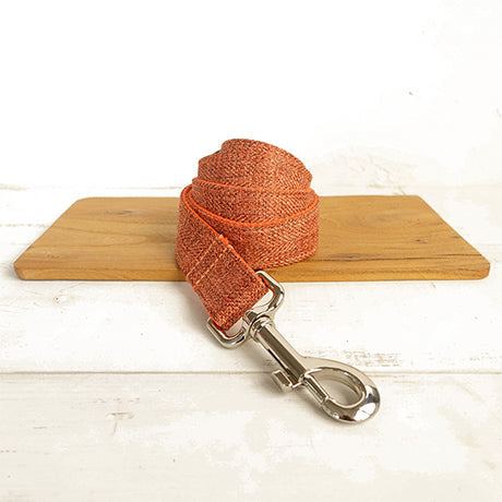 Double-layer thick pet leash