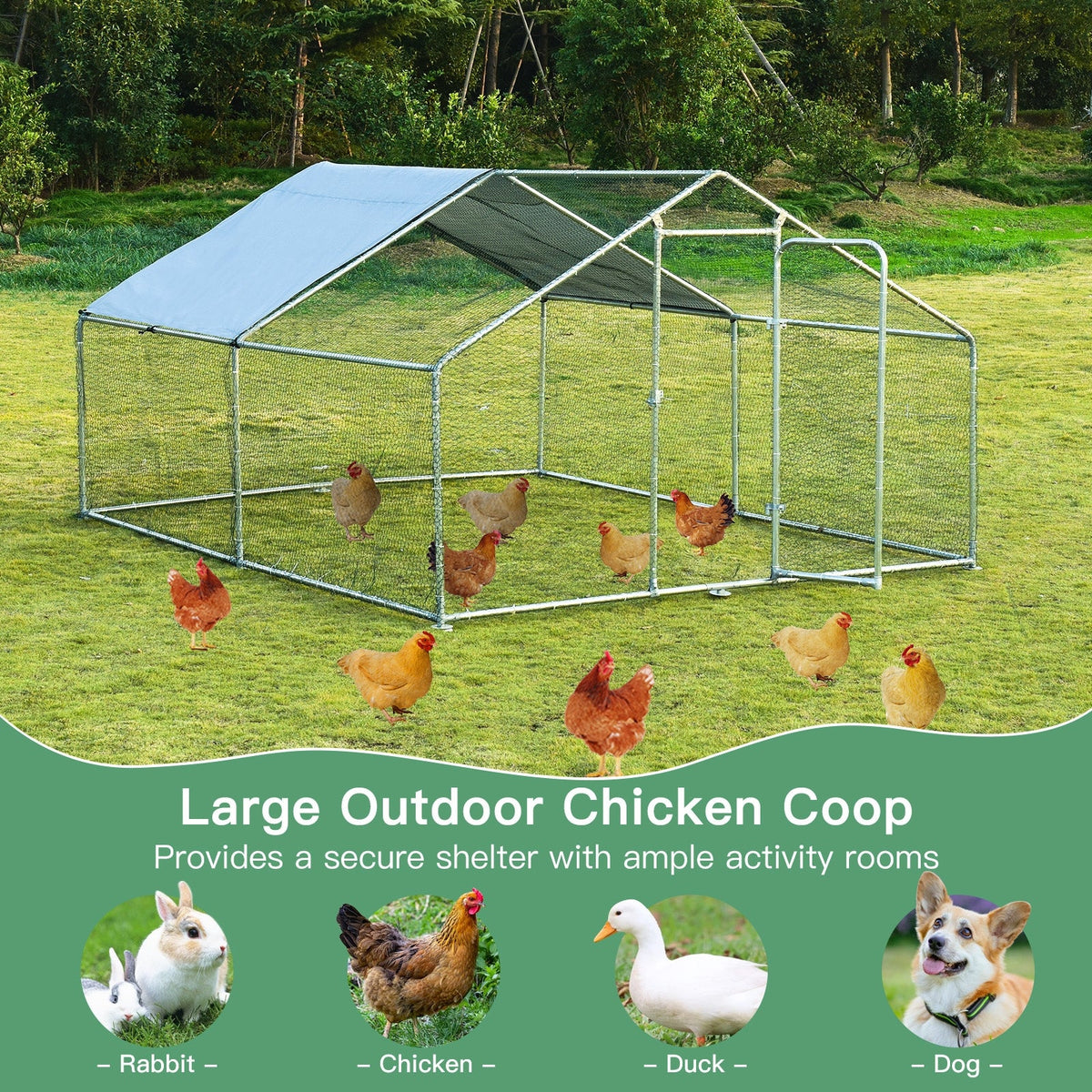 Large Walk in Shade Cage Chicken Coop with Roof Cover-13'