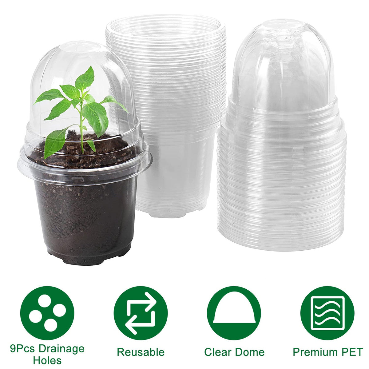 30Pcs Plant Nursery Pots PET Flower Seed Starting Pots Container with Dome with Drainage Holes