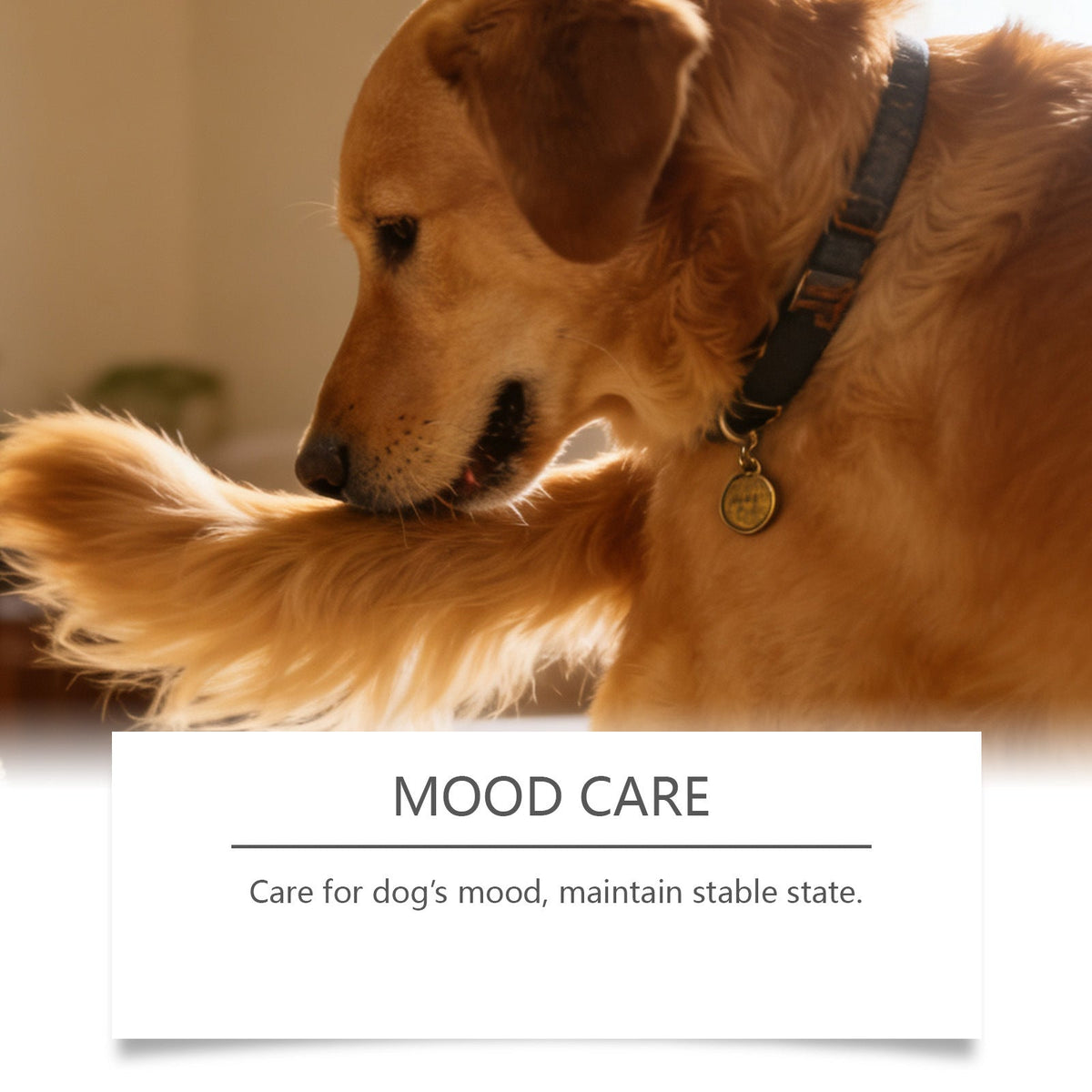 Dog Sedative And Immune Chewable Tablets