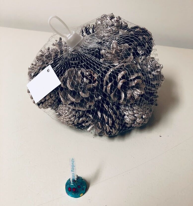 Kalalou Bag of Pine Cones, Fall and Christmas Home Decor