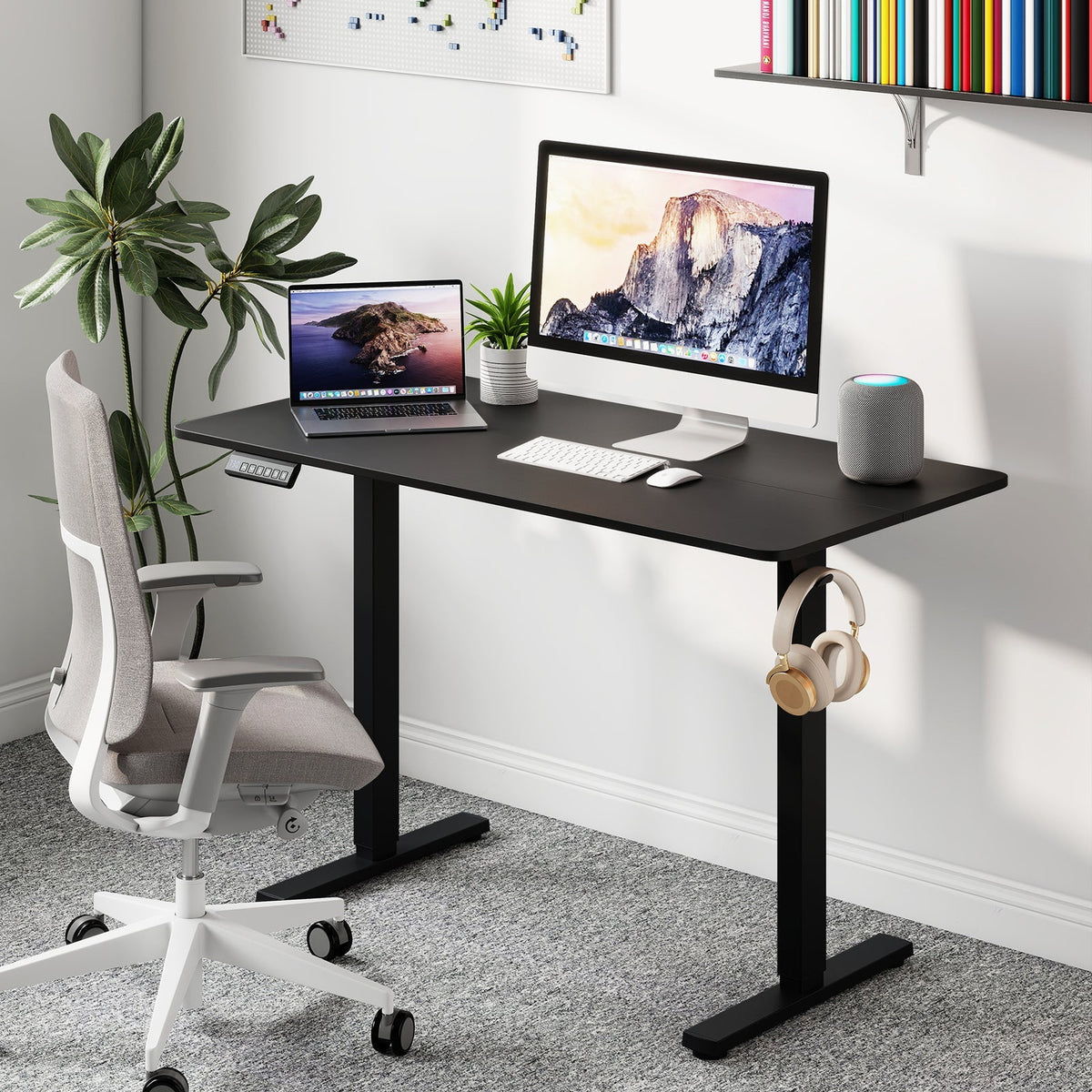 48 Inch x 24 Inch Ergonomic Electric Standing Desk with 3 Memory Settings for Home Office