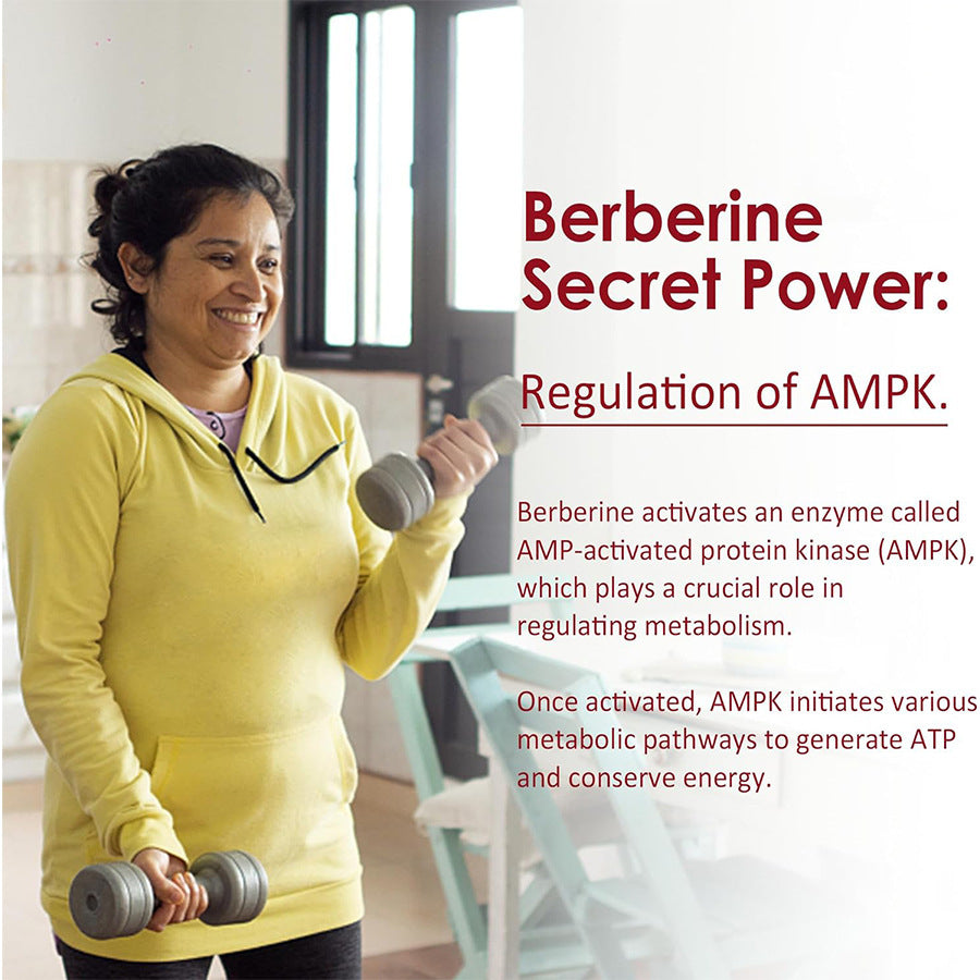 AMP-activated Protein Kinase Berberine Gummies