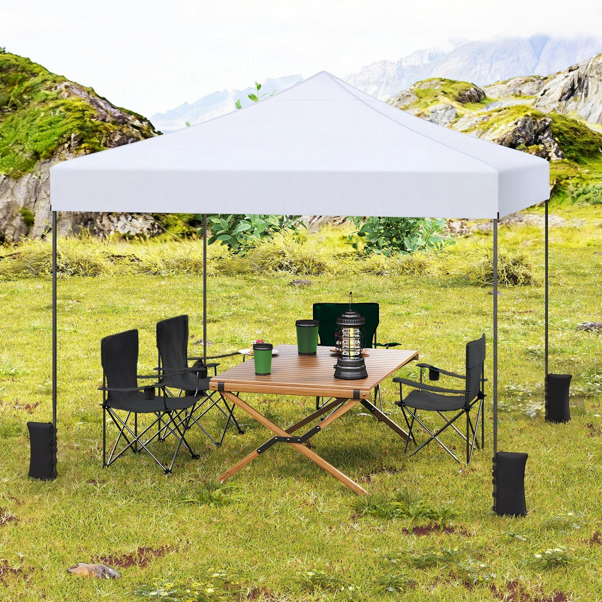 9.5 x 9.5 Feet Pop up Canopy Tent with Adjustable Heights