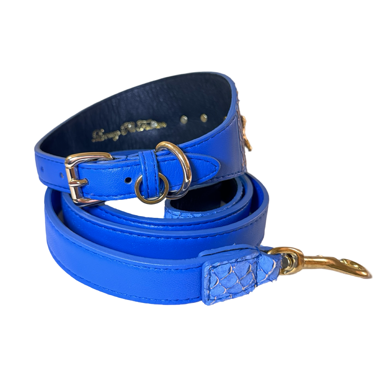 Malibu Star Collar & Leash Set