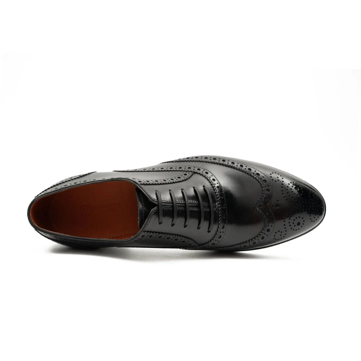 Black Wingtip Calf Leather Oxford Shoes