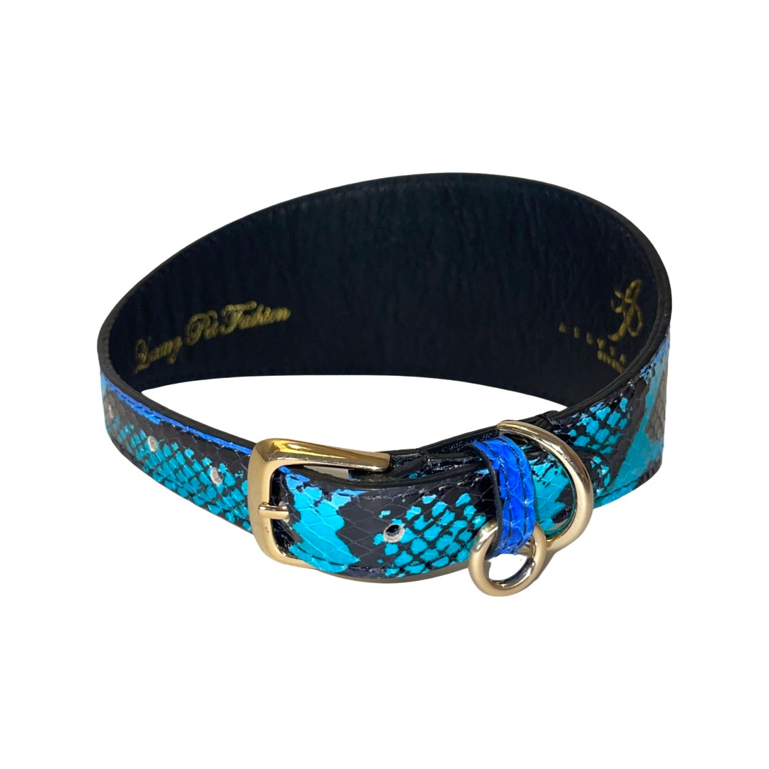 Electric/Turquoise Blue & Black 3” Wide Style Collar