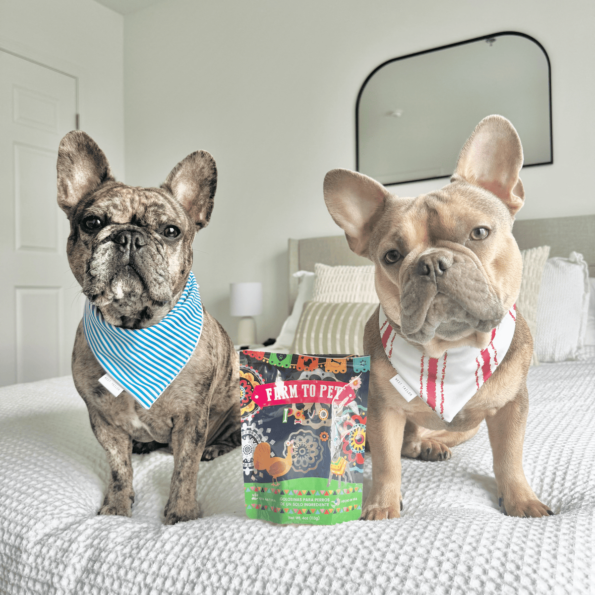 Premios Para Perros Fiesta Pack | Dog Treat Variety Bundle