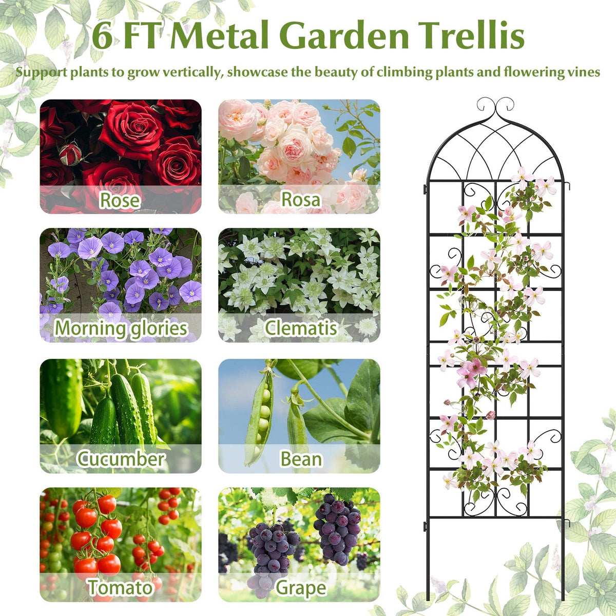 4 Pack 71" x 20" Metal Garden Trellis for Outdoor Climbing Plants