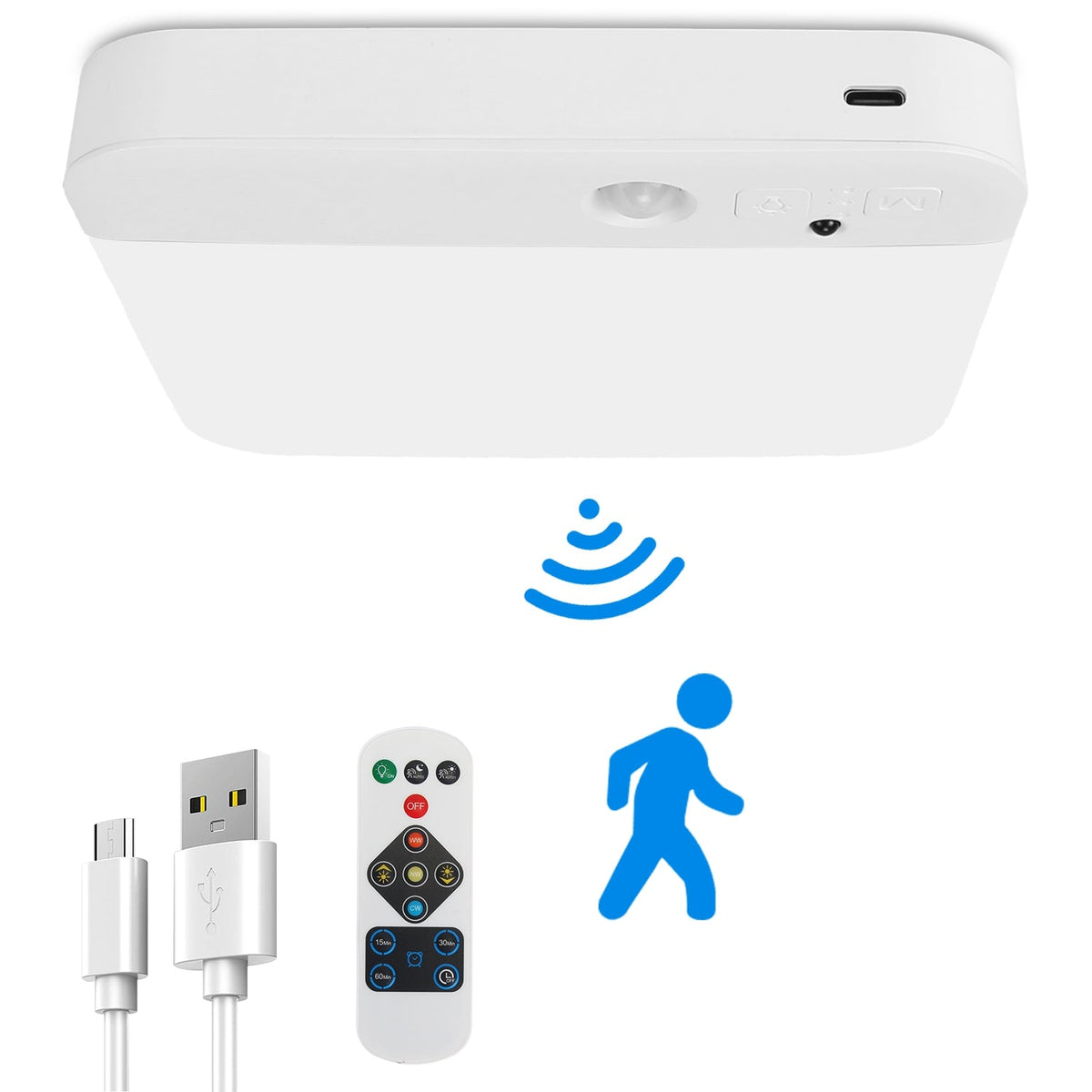 Motion Sensor Ceiling Light with Remote Rechargeable