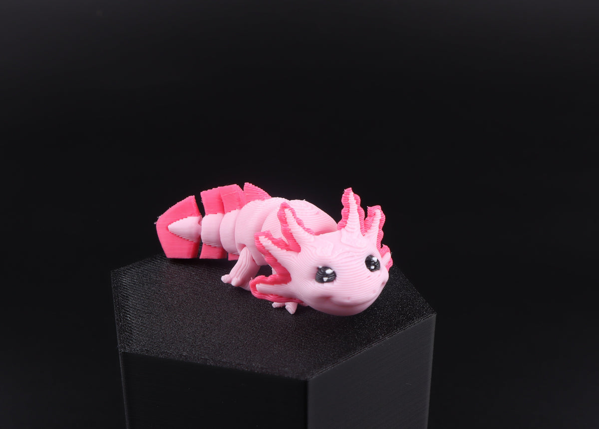 3D Printed Mini Reptile and Amphibian Fidget Toy Set – Articulated Classroom Reward Gift