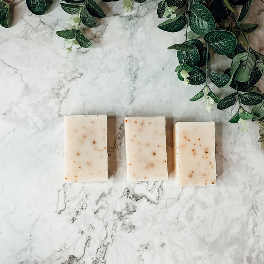 Tea Tree Mint Exfoliating Soap Bar With Peppermint Leaves Shea Butter Natural Oils Refreshing