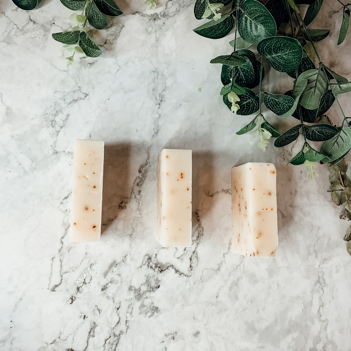 Tea Tree Mint Exfoliating Soap Bar With Peppermint Leaves Shea Butter Natural Oils Refreshing