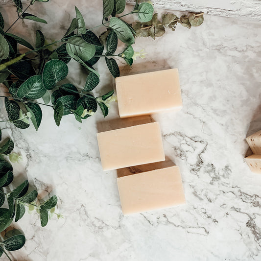 Ginger White Tea Aloe Soap Bar - Soothing Moisturizing Tea Tree & Natural Care