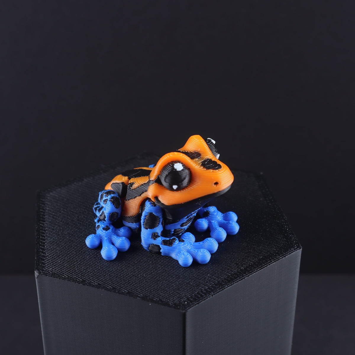 3D Printed Mini Reptile and Amphibian Fidget Toy Set – Articulated Classroom Reward Gift