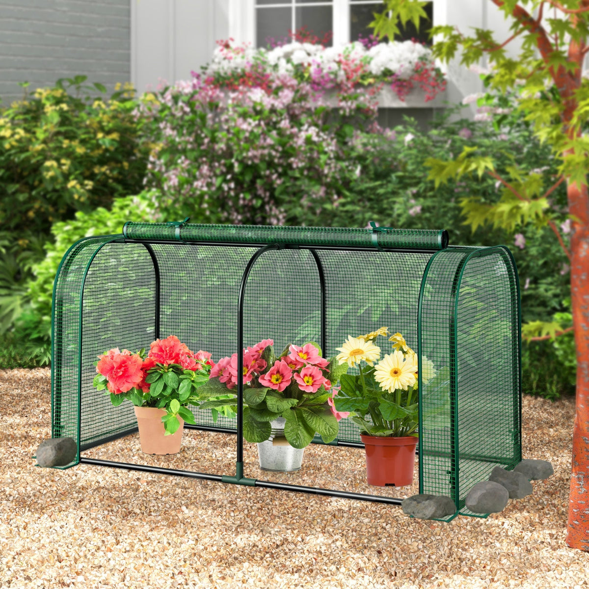 Mini Tunnel Greenhouse with Roll-up Zipper Door