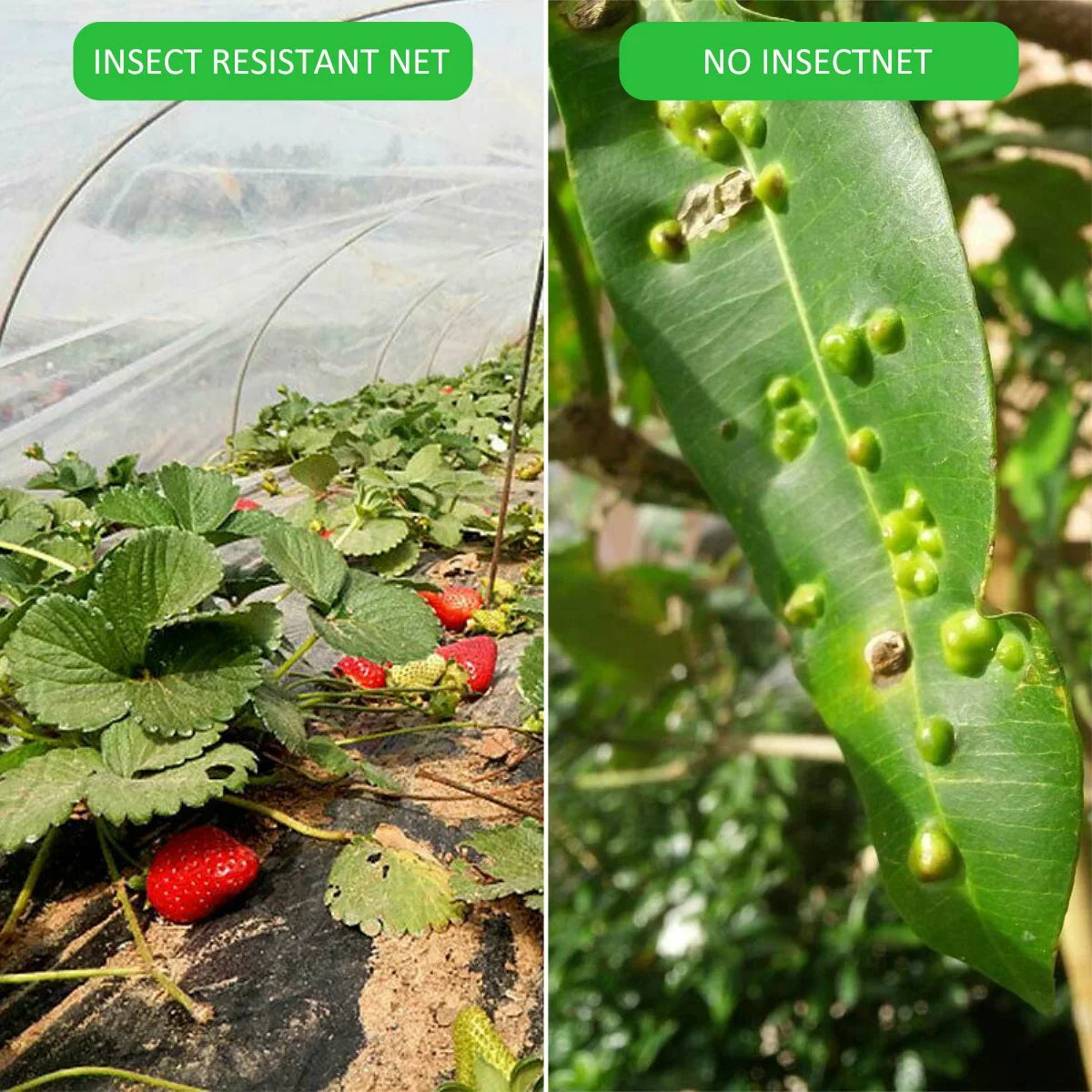 Garden Insect Protection Net for Plant Vegetables Fruit Care Cover Flower Tiny Pests Control Anti-Bird Supplies Garden Accessory