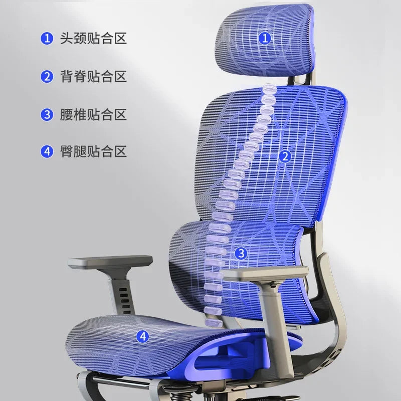 Silla ergonómica Silla de ordenador para el hogar Silla de oficina cómoda para sedentarismo Respaldo Asiento Escritorio de estudio Silla de estudio E-sports