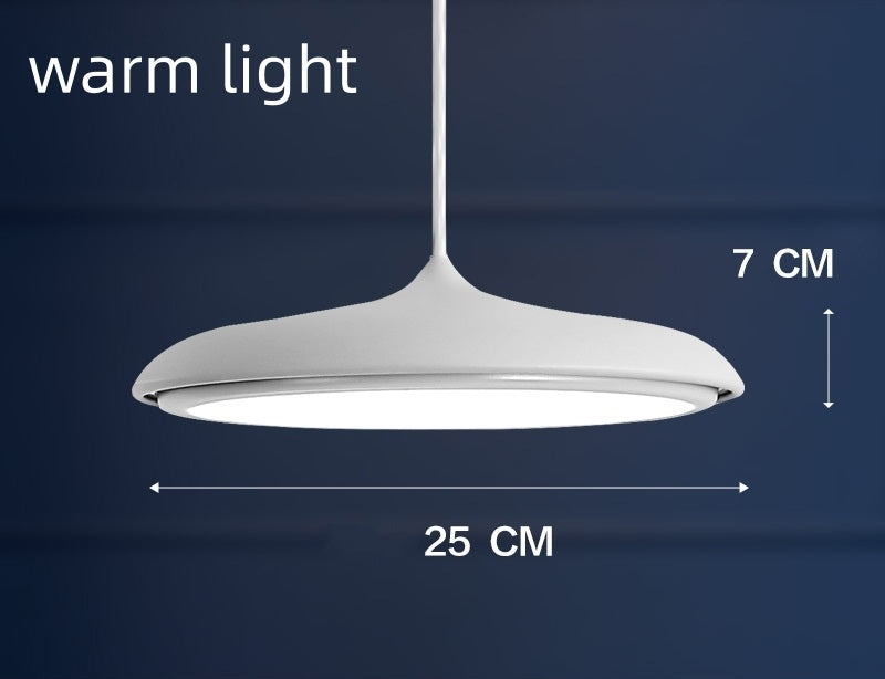 Nordic Modern Simple LED Chandelier Restaurant Chandelier Designer Chandelier