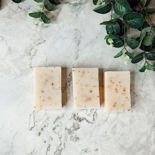 Aloe Eucalyptus Soothing Soap Bar Aloe Vera After-Sun Relief Natural Eucalyptus