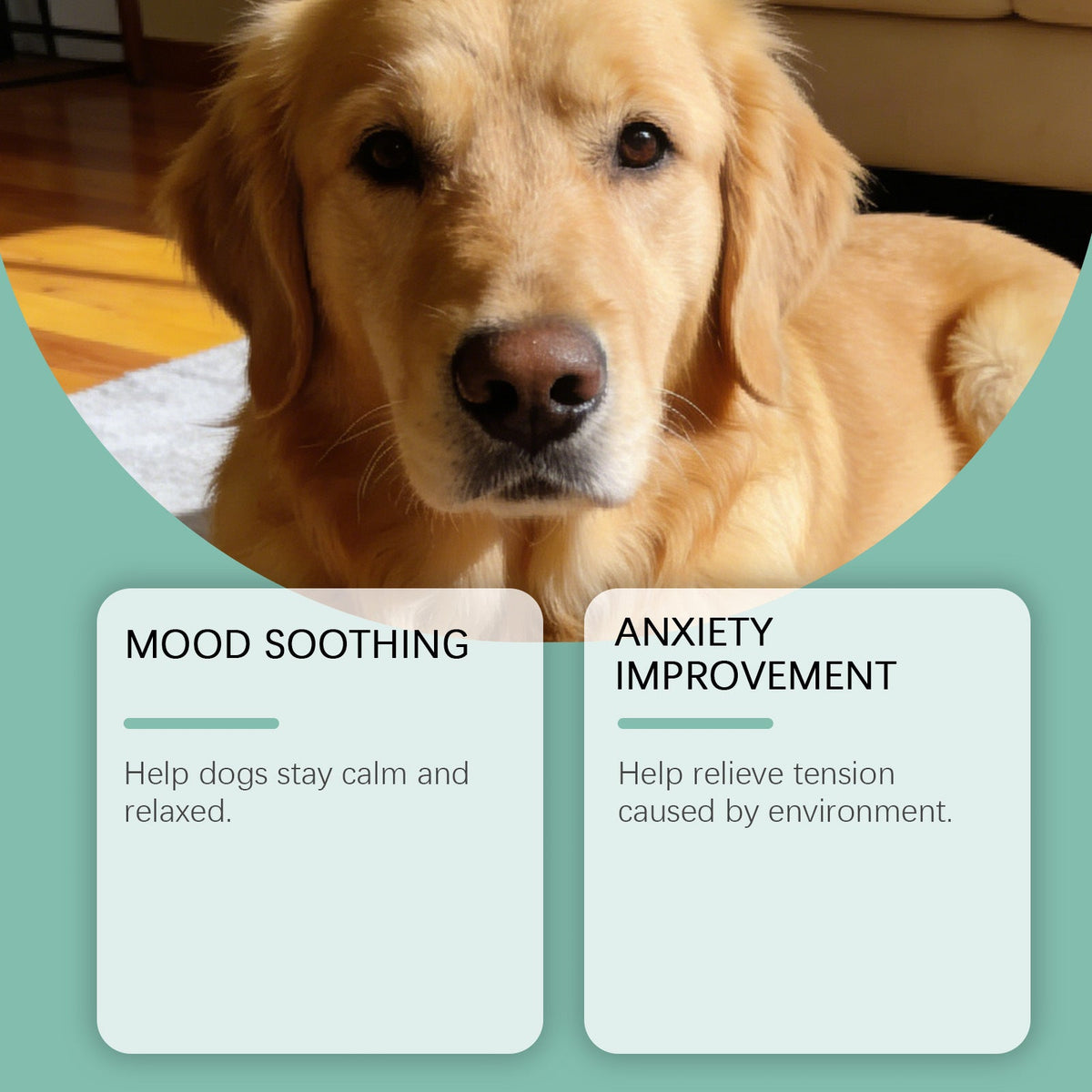Dog Sedative And Immune Chewable Tablets
