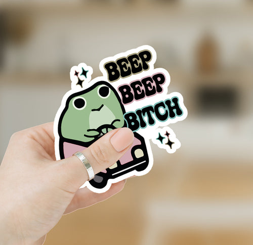 Funny Vinyl Sticker Pack Waterproof Decals For Water Bottle Laptop Journal Luggage Pack