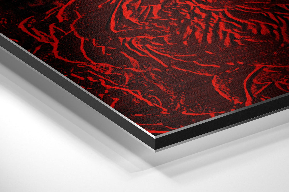 Red Roses Pattern Brushed Aluminium Dibond Wall Art