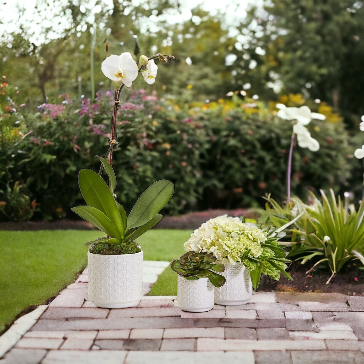 Ceramic Webbing Pattern Planters Embossed Cane Cement Pots Small Medium Large