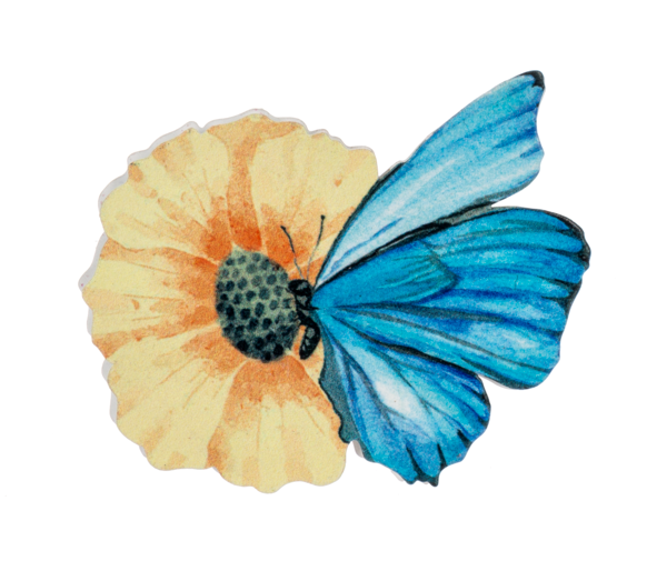 Butterfly Screen Saver -