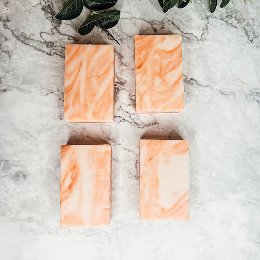 Summertime Citrus Lime Lemon Orange Bath Bomb Tropical Aromatherapy Self Care