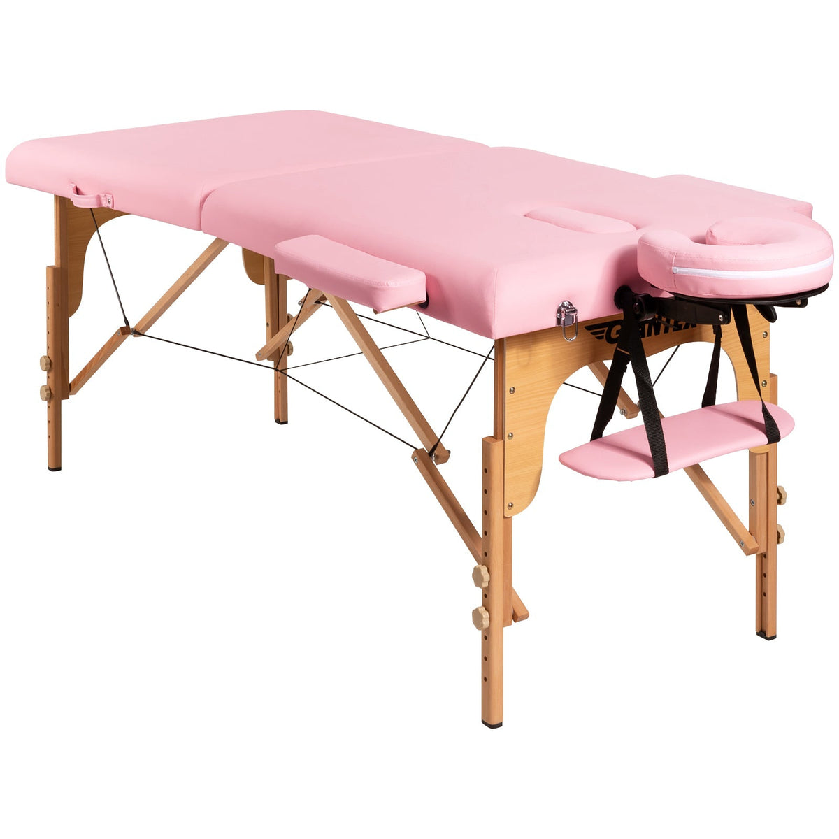 Portable Adjustable Facial Spa Bed with Carry Case
