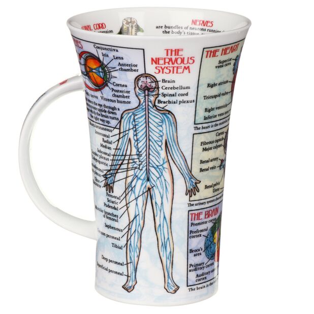 Taza de porcelana fina Body Works estilo Glencoe de Dunoon