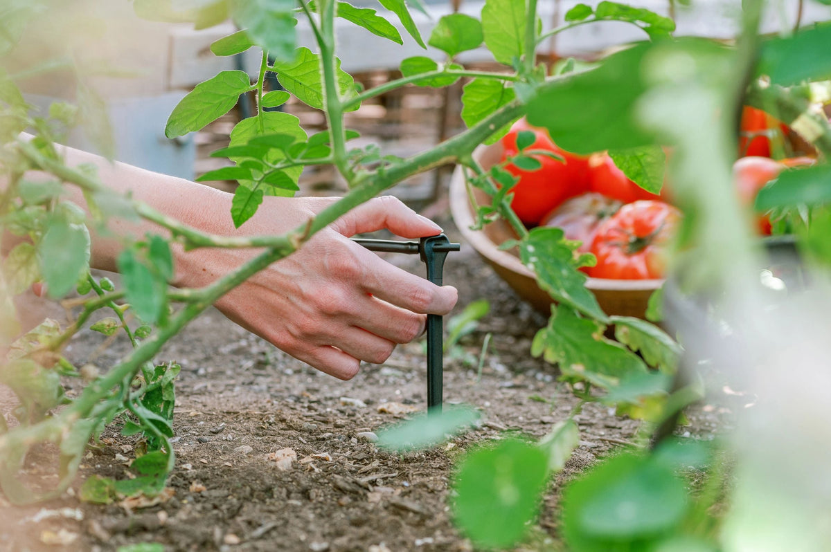 Orbit Drip Irrigation Starter Kit 91944
