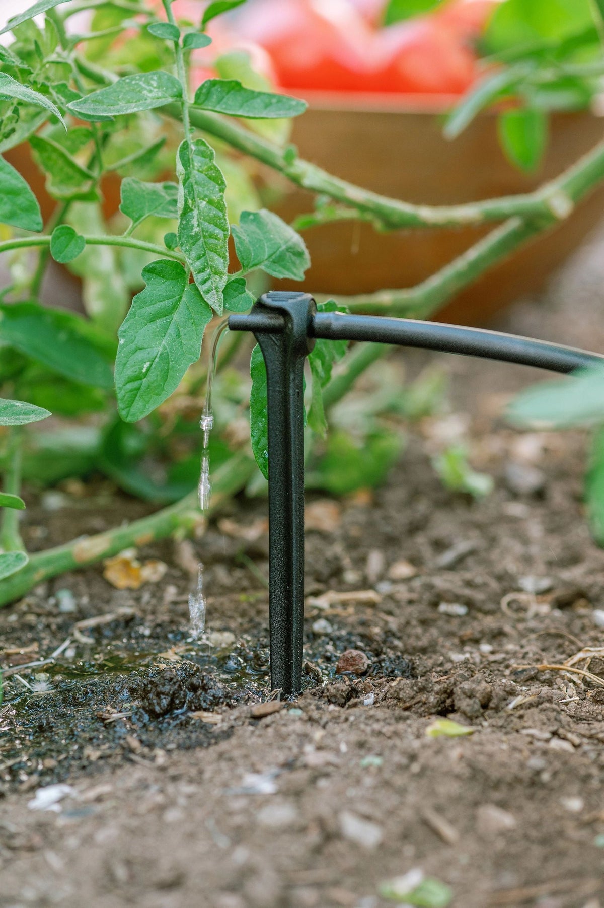 Orbit Drip Irrigation Starter Kit 91944