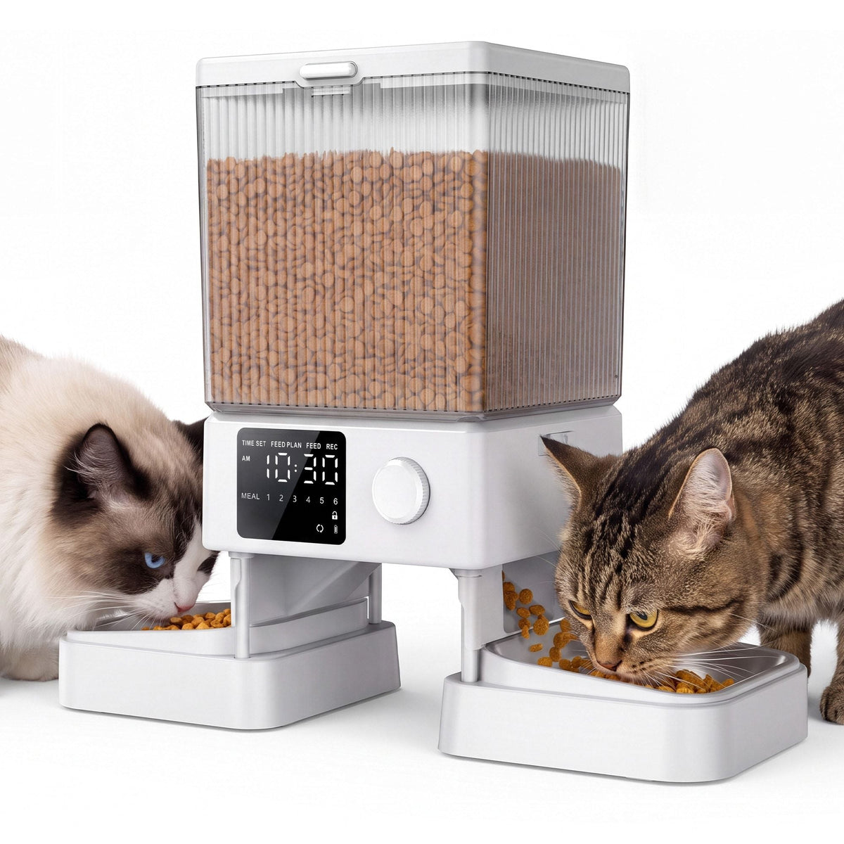 oneisall Automatic Cat Feeder 5L for 2 Pets PF02WAU